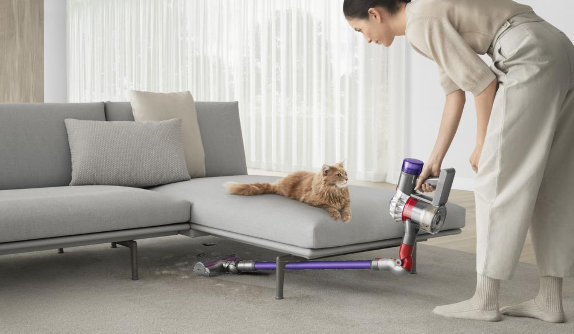 Buy Dyson V8™ Extra stick vacuum cleaner (Silver/Purple) Online